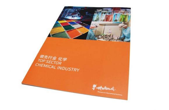 10_2.top-sector-brochure-chemical-industryjpg
